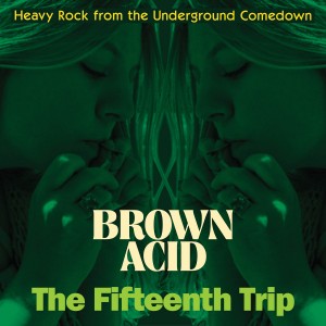 Image of Various Artists - Brown Acid: The Fifteenth Trip