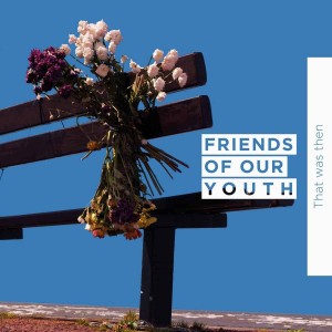 Image of Friends Of Our Youth - That Was Then