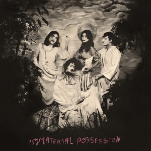 Image of Immaterial Possession - Mercy Of The Crane Folk