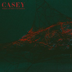 Image of Casey - Where I Go When I Am Sleeping - 2023 Reissue