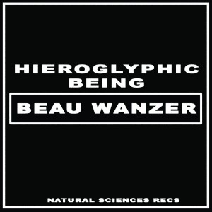 Image of Beau Wanzer / Hieroglyphic Being - 4 Dysfunctional Psychotic Release & Sonic Reprogramming Purposes Only