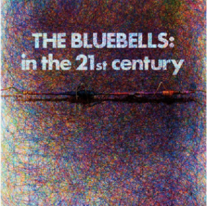 Image of The Bluebells - In The 21st Century