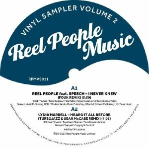 Image of Various Artists - Reel People Music : Vinyl Sampler Volume 2
