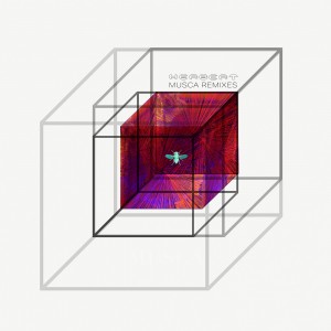 Image of Herbert - Musca Remixes (RSD23 EDITION)