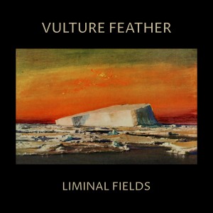 Image of Vulture Feather - Liminal Fields