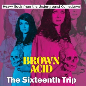 Image of Various Artists - Brown Acid: The Sixteenth Trip