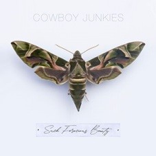 Image of Cowboy Junkies - Such Ferocious Beauty