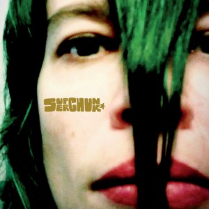 Image of Superchunk - Misfits & Mistakes: Singles, B-sides & Strays 2007–2023