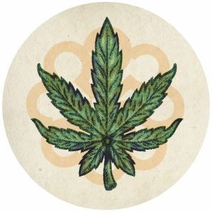 Coyote / Rolo McGinty - Marijuana