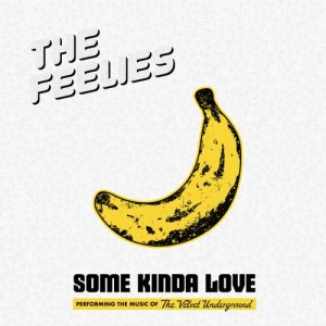 Image of The Feelies - Some Kinda Love: Performing The Music Of The Velvet Underground