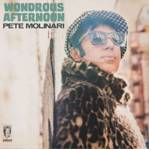 Image of Pete Molinari - Wondrous Afternoon
