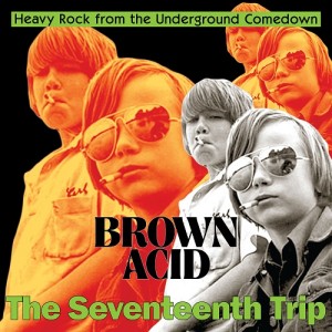 Image of Various Artists - Brown Acid: The Seventeenth Trip