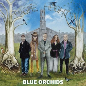 Image of Blue Orchids - Magpie Heights
