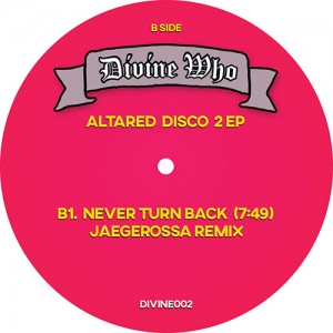 Image of Divine Who - Altared Disco Vol 2