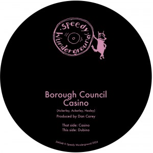 Image of Borough Council - Casino
