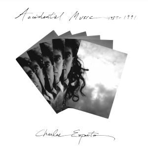 Image of Charles Esposito - Accidental Music 1987-1991