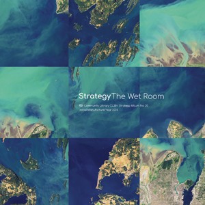 Strategy - The Wet Room