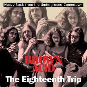 Various Artists - Brown Acid: The Eighteenth Trip