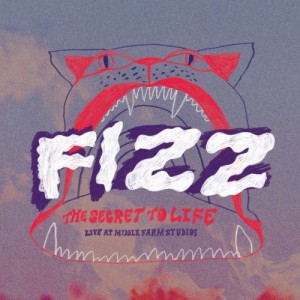 Image of FIZZ - Live At Middle Farm (RSD24 EDITION)