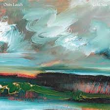 Image of Oisin Leech - Cold Sea