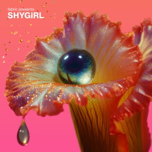 Image of Various Artists - Fabric Presents Shygirl