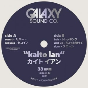 Image of Kaito Ian - Lo-Fi Hip Hop Instrumentals