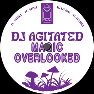 Image of DJ Agitated - Magic Overlooked