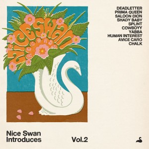 Image of Various Artists - Nice Swan Introduces Vol.2