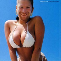 Image of Aphex Twin - Windowlicker