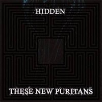 Image of These New Puritans - Hidden