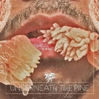 Image of Toro Y Moi - Underneath The Pine