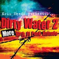 Image of Various Artists - Dirty Water 2 - More Birth Of Punk Attitude