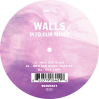 Image of Walls - Into Our Midst