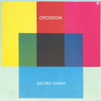 Image of Opossom - Electric Hawaii - Limited Triple 7