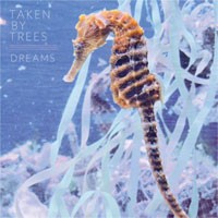 Image of Taken By Trees - Dreams