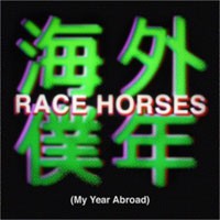 Image of Race Horses - My Year Abroad