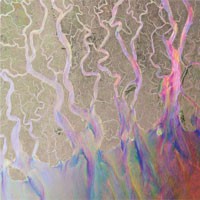 Image of Alt-J - An Awesome Wave - Deluxe Edition