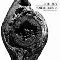 Image of Joy Formidable - A Minute's Silence