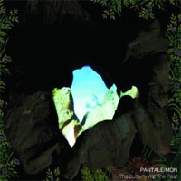 Image of Pantaleimon - The Butterfly Ate The Pearl
