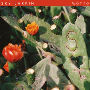 Image of Sky Larkin - Motto