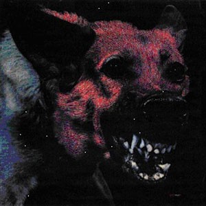 Protomartyr - Under Color Of Official Right - 2023 Repress