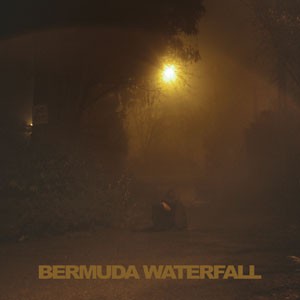 Image of Sean Nicholas Savage - Bermuda Waterfall