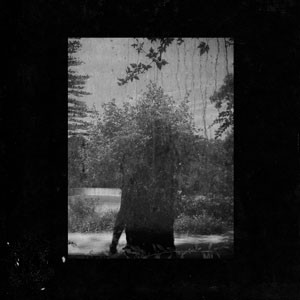 Image of Grouper - Ruins