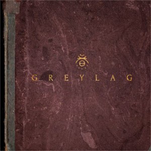 Image of Greylag - Greylag