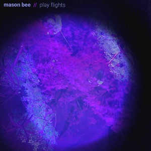 Image of Mason Bee - Play Flights