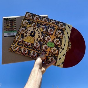 Image of King Gizzard And The Lizard Wizard - Made In Timeland